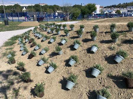 Foto Javno podjetje Okolje Piran (2)